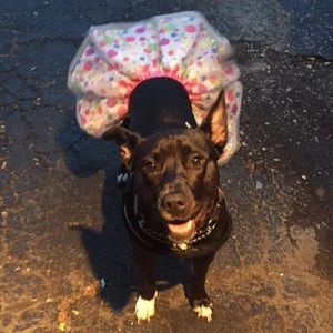 Meet your Posher, Shay